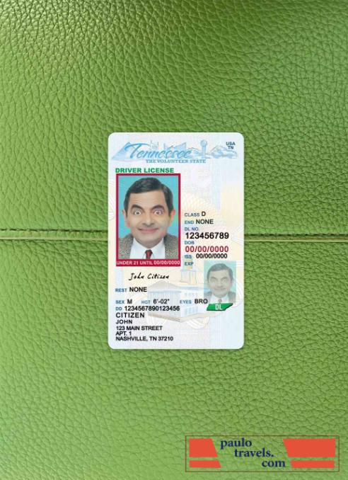 USA Tennessee driving license under 21 photolook FRONT PSD template